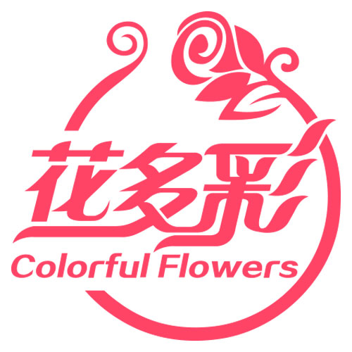 四川爱尚美网络科技有限公司