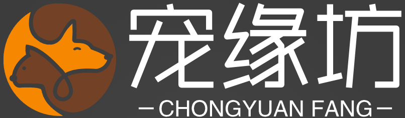 首页