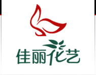 石家庄花艺培训,石家庄插花培训,花艺培训