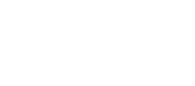 InsoAi