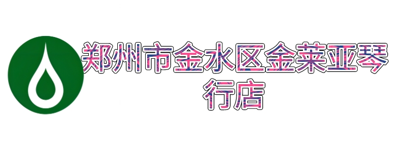 郑州市金水区金莱亚琴行店