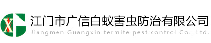江门白蚁防治