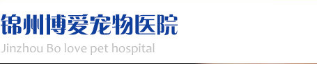 锦州博爱宠物医院