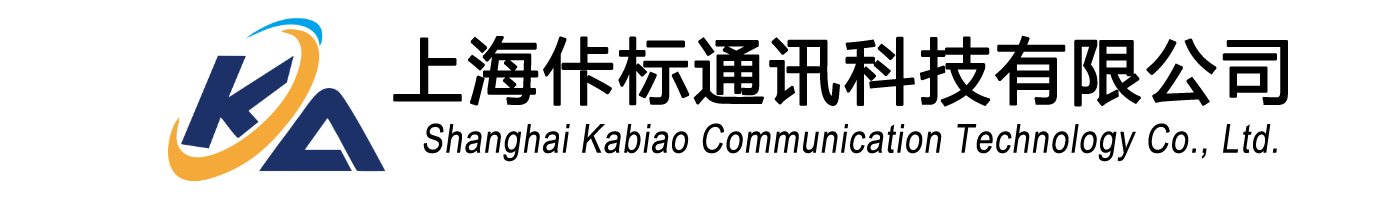 上海IT外包服务