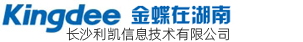 长沙利凯信息技术有限公司