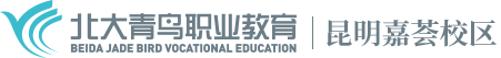 云南北大青鸟计算机学校【官网】