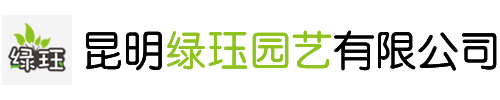 昆明绿植租赁公司