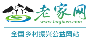 老家网