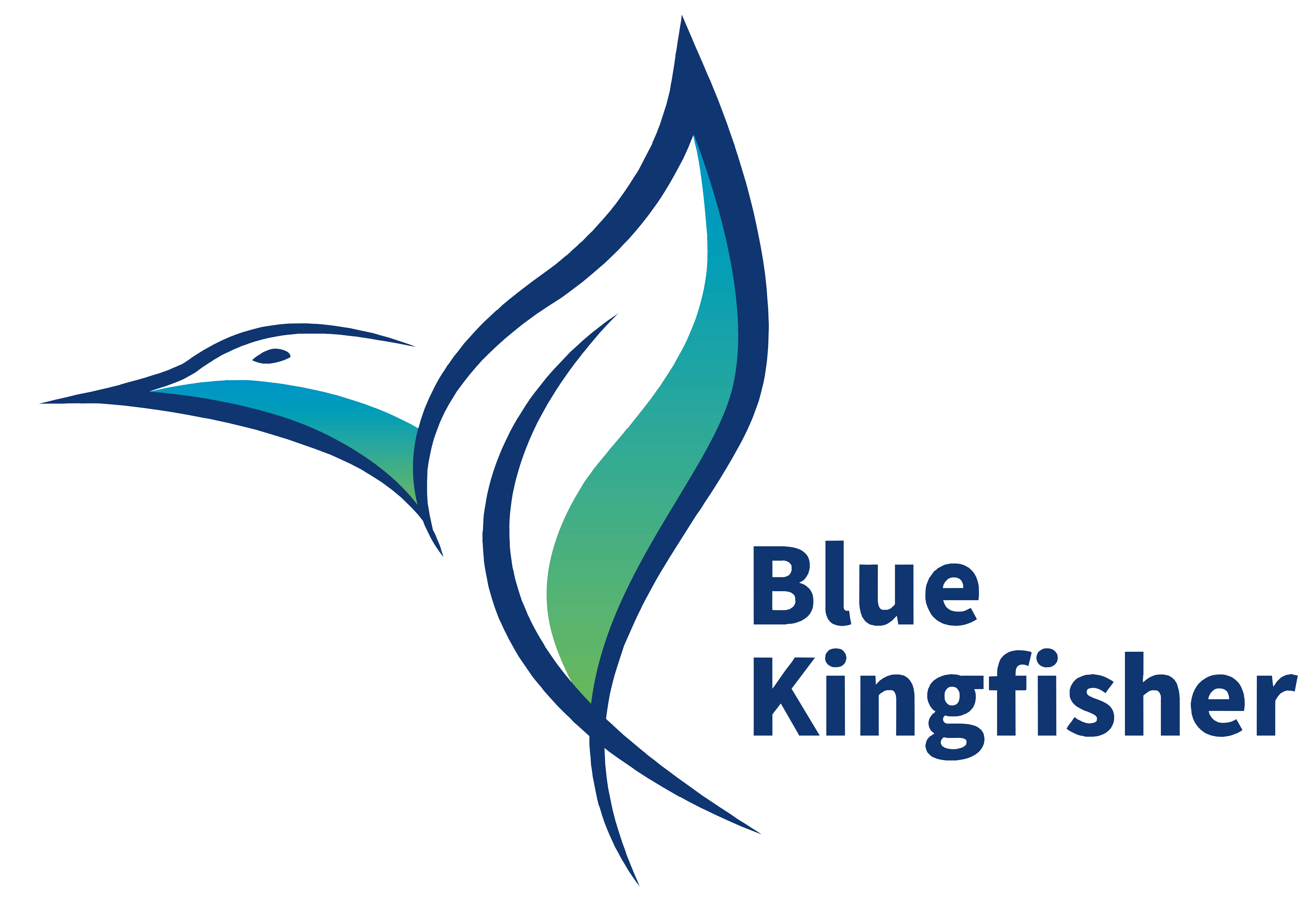 蓝翠鸟艺术涂装系统解决服务商