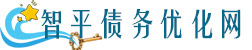 智平债务优化网