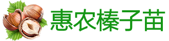 辽宁惠农榛子苗木繁育基地