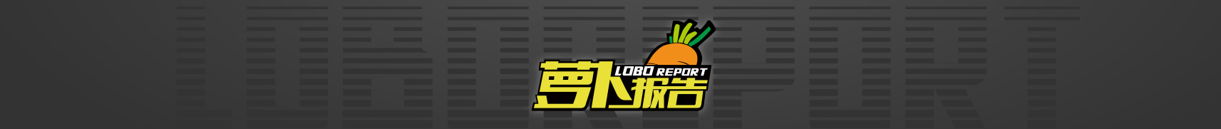 萝卜报告