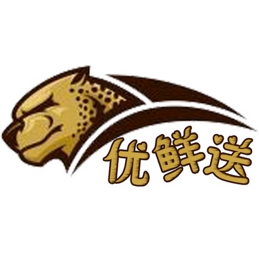 安康迅捷佳源网络科技