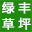 河南草坪