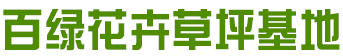 河南草坪