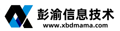 彭渝信息技术（重庆）有限责任公司