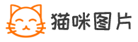 猫咪图片猫咪