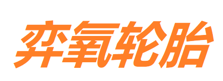 上海弈氧轮胎有限公司