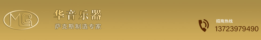 龙口华音乐器有限公司