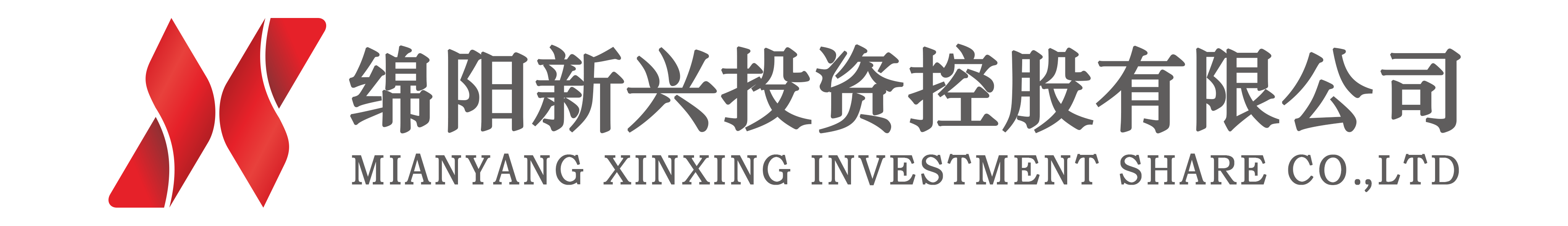 绵阳新兴投资控股有限公司