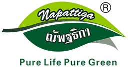 【娜帕蒂卡】乳胶枕头