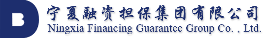 宁夏融资担保集团有限公司