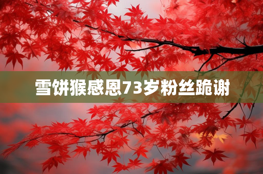 天气报告