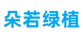 绿植百科小知识