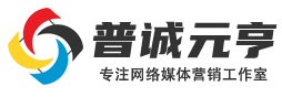 普诚元亨工作室专注网络营销推广