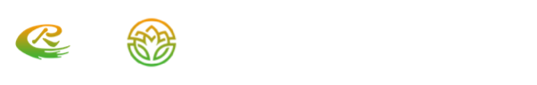 平湖人才信息网