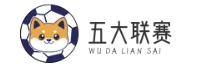 五大联赛