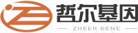 哲尔亲子鉴定中心