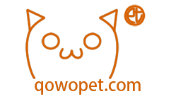 qowopet宠物网