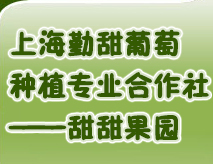 上海勤甜葡萄种植专业合作社