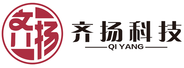 齐扬收银