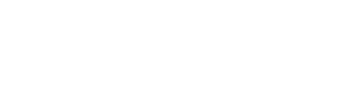 袋鼠出海