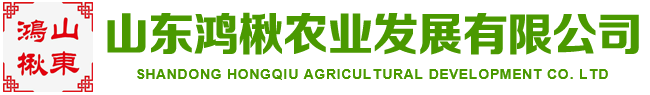楸树苗,速生楸树