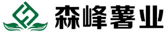 首页
