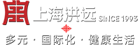 上海洪远