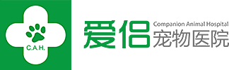 专业宠物医院