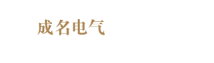 上海成名电气集团有限公司