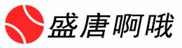 盘龙区盛唐啊哦网络科技工作室