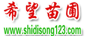 湿地松