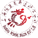 上海培生龙舟运动俱乐部