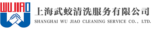 上海地毯清洗