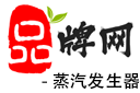 蒸汽发生器品牌网