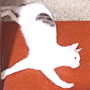 天晴动作工具组文档