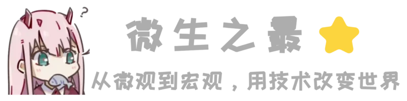 微生之最