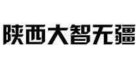 陕西大疆无人机代理商