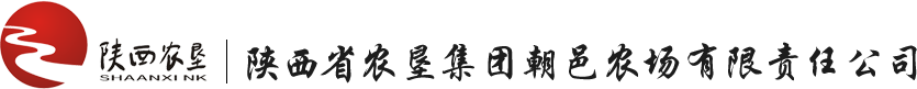 首页